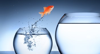 goldfish jumping into a tank bigger
